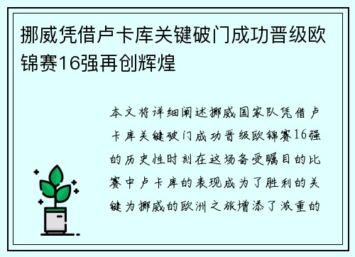 挪威凭借卢卡库关键破门成功晋级欧锦赛16强再创辉煌