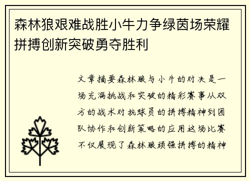 森林狼艰难战胜小牛力争绿茵场荣耀拼搏创新突破勇夺胜利