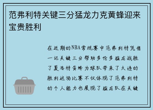 范弗利特关键三分猛龙力克黄蜂迎来宝贵胜利